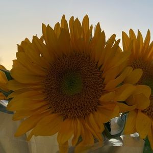 Meet your Posher, Eva